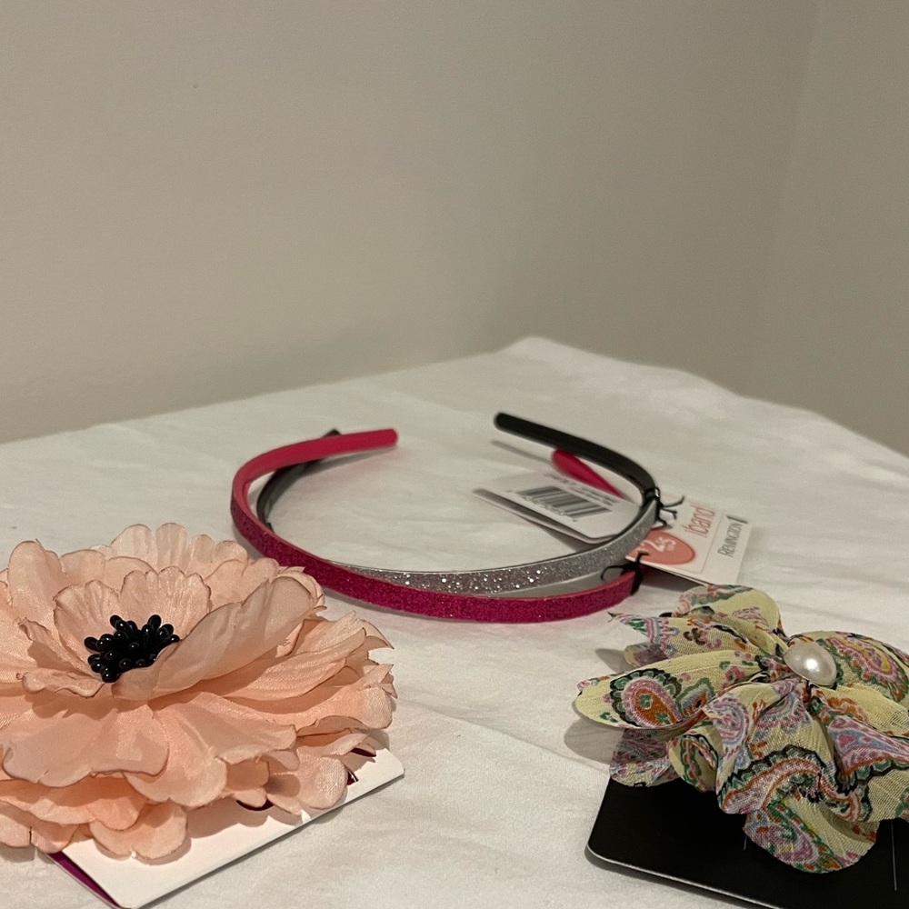Headband and hair clips